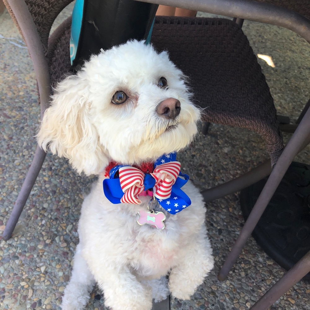 bundle up and get 15% off!!!